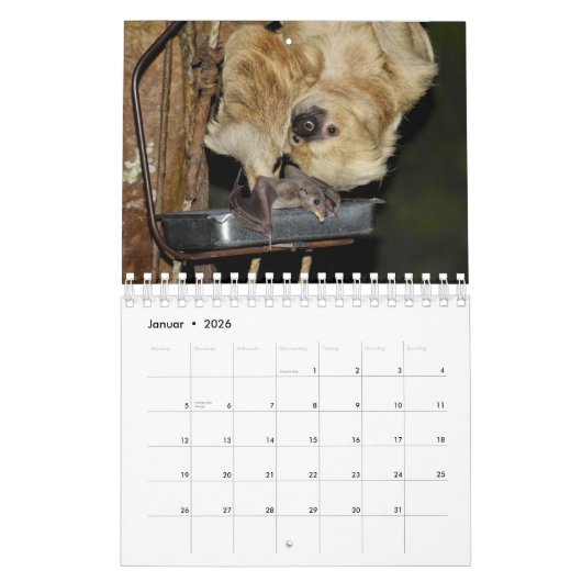 Bat/Fledermaus als Kalender (Jan 2026)