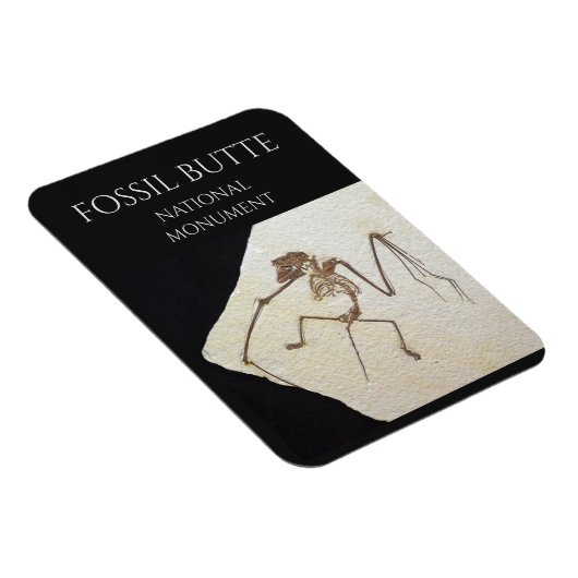 Bat Fossil, Fossil Butte National Monument Magnet (Rechte Seite)