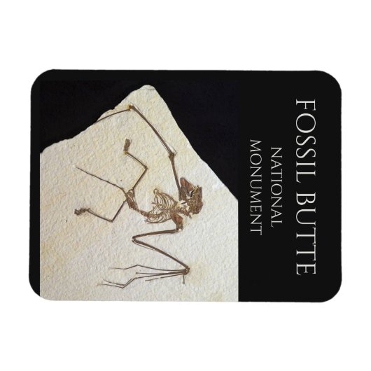 Bat Fossil, Fossil Butte National Monument Magnet (Horizontal)