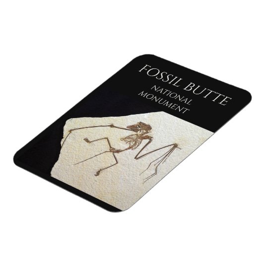 Bat Fossil, Fossil Butte National Monument Magnet (Linke Seite)