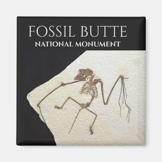 Bat Fossil, Fossil Butte National Monument Magnet (Vorne)