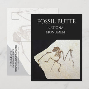 Bat Fossil, Fossil Lake, Fossil Butte, WY Postkarte