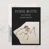 Bat Fossil, Fossil Lake, Fossil Butte, WY Postkarte (Vorne/Hinten)