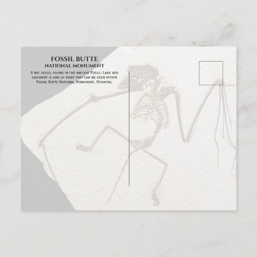 Bat Fossil, Fossil Lake, Fossil Butte, WY Postkarte (Rückseite)
