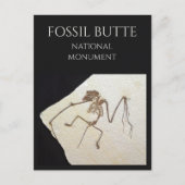 Bat Fossil, Fossil Lake, Fossil Butte, WY Postkarte (Vorderseite)
