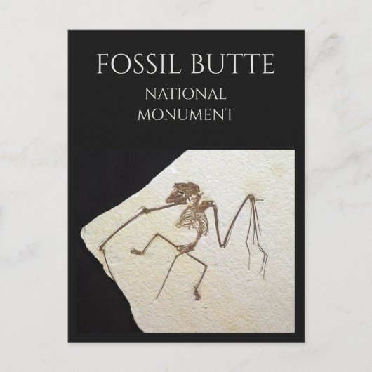 Bat Fossil, Fossil Lake, Fossil Butte, WY Postkarte (Vorderseite)