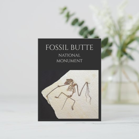 Bat Fossil, Fossil Lake, Fossil Butte, WY Postkarte (Stehend Vorderseite)