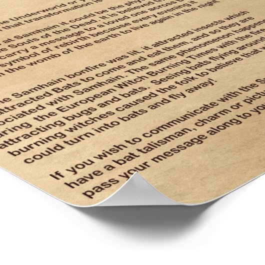 BAT MYTHOLOGY POSTER (Ecke)