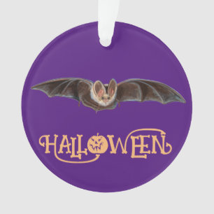 Bat Pipistrellus Illustration glückliches Hallowee Ornament