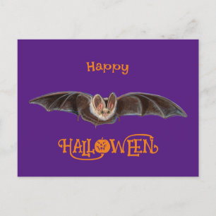 Bat Pipistrellus Illustration Halloween Black Feiertagspostkarte