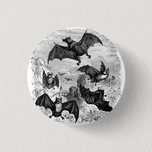 Bat Sketch Button