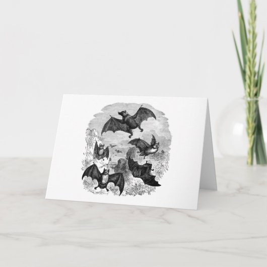 Bat Sketch Karte (Vorderseite)