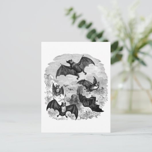 Bat Sketch Postkarte (Stehend Vorderseite)