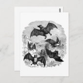 Bat Sketch Postkarte (Vorne/Hinten)