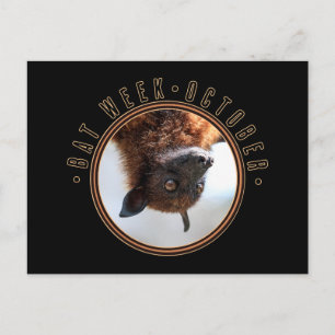 Bat Week, fliegender Fuchs Postkarte