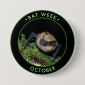 Bat Week, niedliche braune Fledermaus Button (Vorderseite)