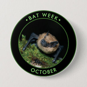 Bat Week, niedliche braune Fledermaus Button