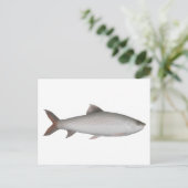 Bata Postkarte (Stehend Vorderseite)