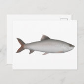 Bata Postkarte (Vorne/Hinten)