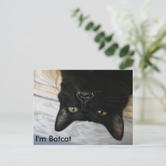 Batcat: Ich bin Batcat Postcard Postkarte (Stehend Vorderseite)