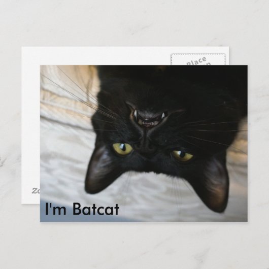 Batcat: Ich bin Batcat Postcard Postkarte (Vorne/Hinten)