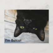 Batcat: Ich bin Batcat Postcard Postkarte (Vorderseite)