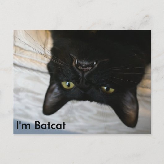 Batcat: Ich bin Batcat Postcard Postkarte (Vorderseite)