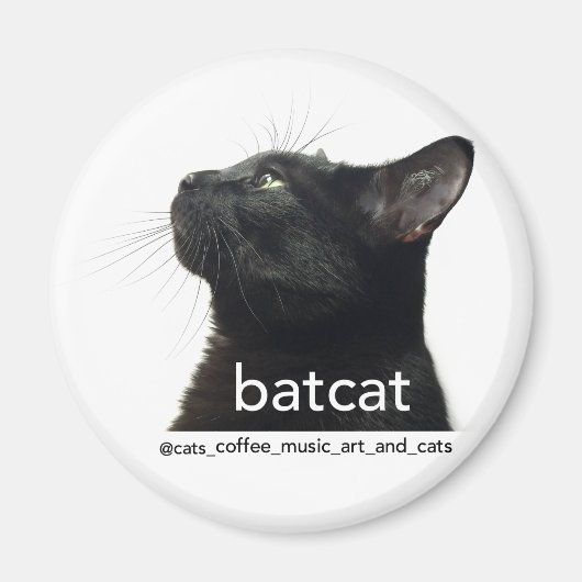 Batcat: Magnet (Vorne)