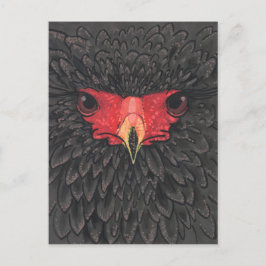 Bateleur Eagle African Bird Portrait Paper Collage Postkarte