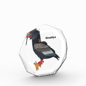Bateleur Eagle illustration Fotoblock (Links)