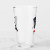 Bateleur Eagle Illustration Glas (Links)
