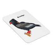 Bateleur Eagle Illustration Magnet (Rechte Seite)