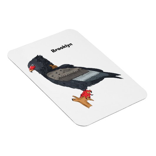 Bateleur Eagle Illustration Magnet (Rechte Seite)