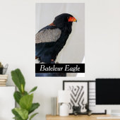 Bateleur Eagle Poster (Heimbüro)