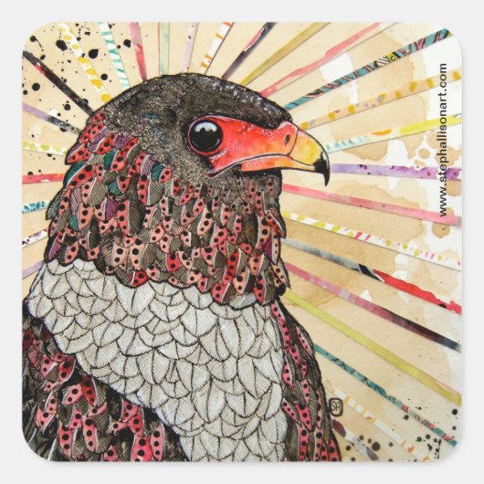 Bateleur Eagle Quadratischer Aufkleber (Vorderseite)