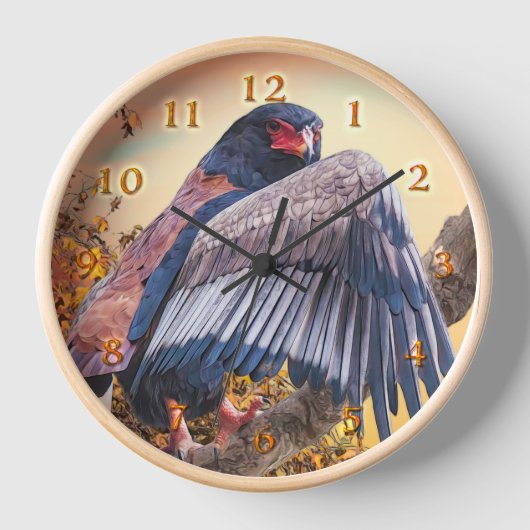 Bateleur Eagle "SUN DANCER" Uhr (Vorderseite)