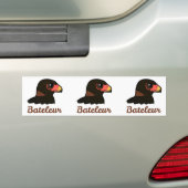 Bateleur Profil Autoaufkleber (Auf Auto)