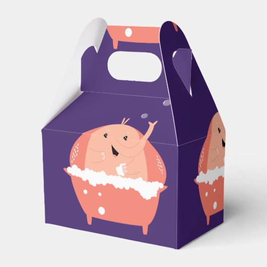 Bath Bombs Geschenkschachtel (Rückseite)