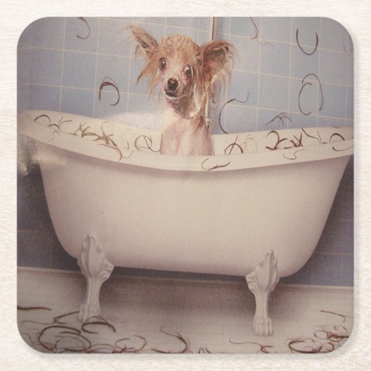 BATH RECHTECKIGER PAPPUNTERSETZER (Vorderseite)