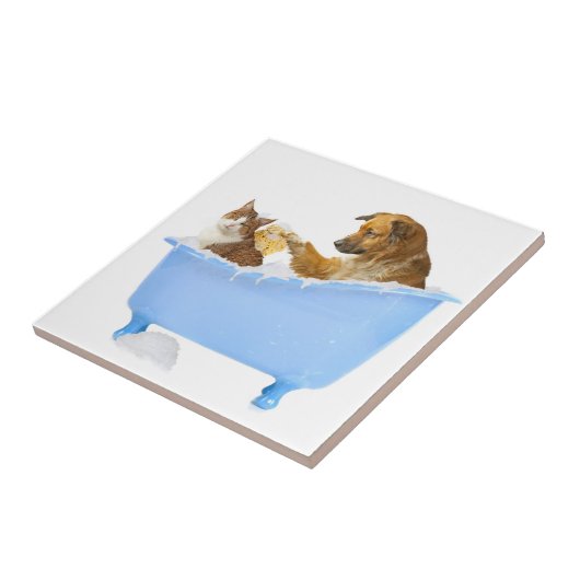 Bath time fliese (Seite)