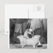 Bath Time großer Kerl Postkarte (Vorne/Hinten)