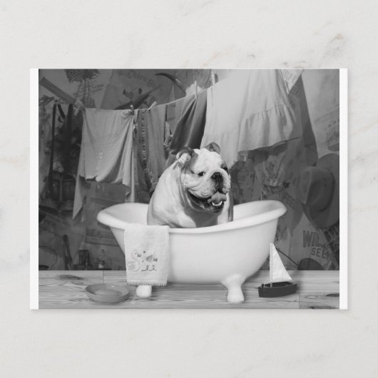 Bath Time großer Kerl Postkarte (Vorderseite)