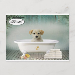 Bath Time Welpe Postkarte