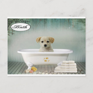 Bath Time Welpe Postkarte