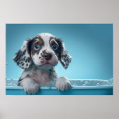 Bath Tube Pup Poster (Vorne)