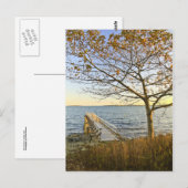 Bathed in Golden Light Postkarte (Vorne/Hinten)