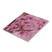 Bathed in rosa, japanische Kirschblüten Tile Fliese (Seite)