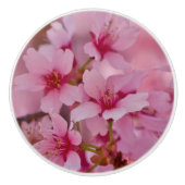 Bathed in rosa japanischen Kirschblüten Keramikknauf (Vorderseite)
