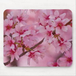 Bathed in rosa japanischen Kirschblüten Mousepad