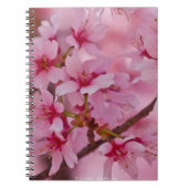 Bathed in rosa japanischen Kirschblüten Notizblock (Vorderseite)